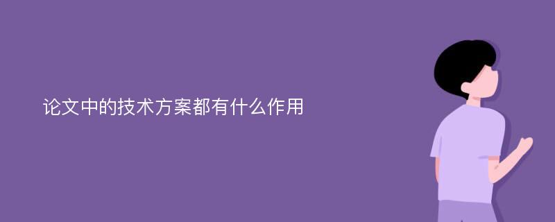 论文中的技术方案都有什么作用